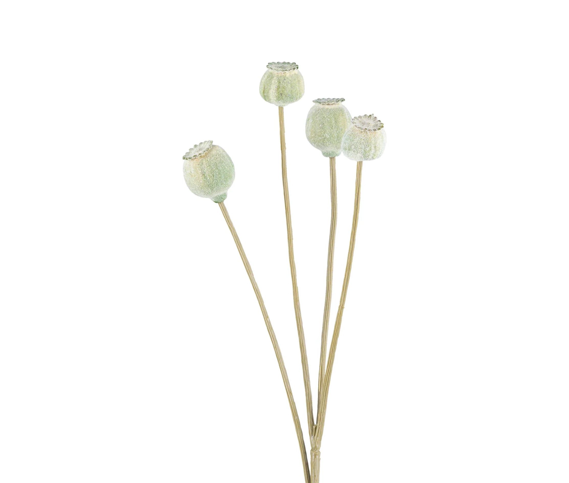 Poppy Pods Stem