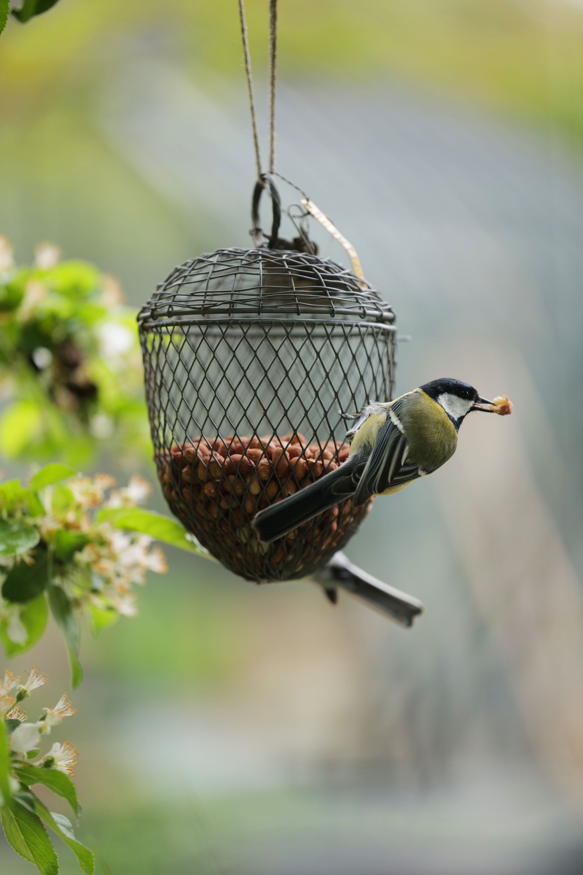 Walther&co zinc acorn birdfeeder
